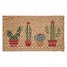 Compra Felpudo coco trenzado cactus 40 x 70 cm DINTEX 50-090 al mejor precio