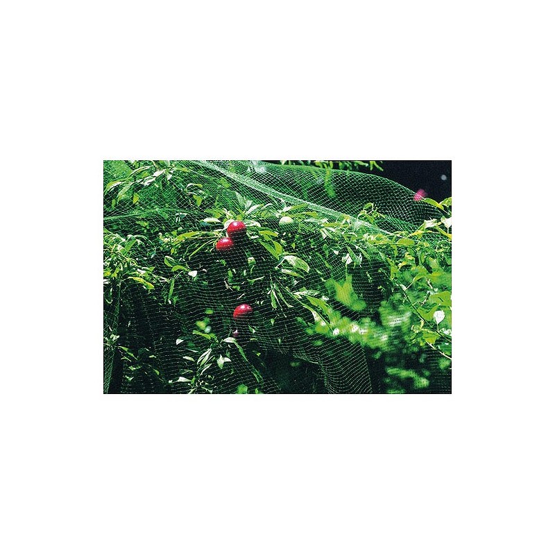 Compra Malla anti-pajaro 2 x 10 m verde NATUUR NT118599 al mejor precio