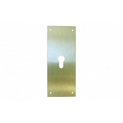 PLACA CERRADURA 80X250MM...