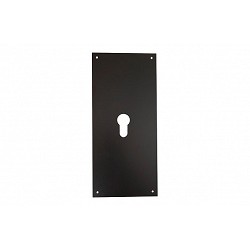 PLACA CERRADURA 80X250MM...