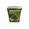 Compra SEMILLAS ALBAHACA ANCHA 1GR THE GARDEN PEOPLE GROW ME ALBAHACA al mejor precio