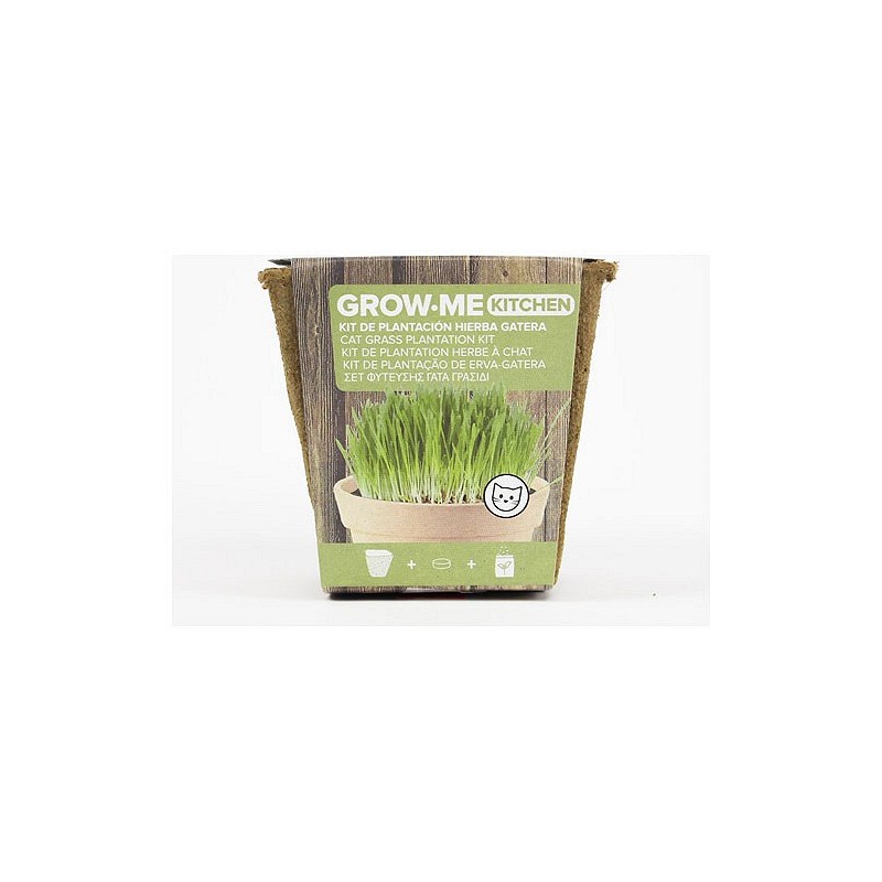 Compra SEMILLAS HIERBA GATOS 10 GR THE GARDEN PEOPLE GROW ME HIERBA GATOS al mejor precio