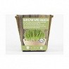 Compra SEMILLAS HIERBA GATOS 10 GR THE GARDEN PEOPLE GROW ME HIERBA GATOS al mejor precio