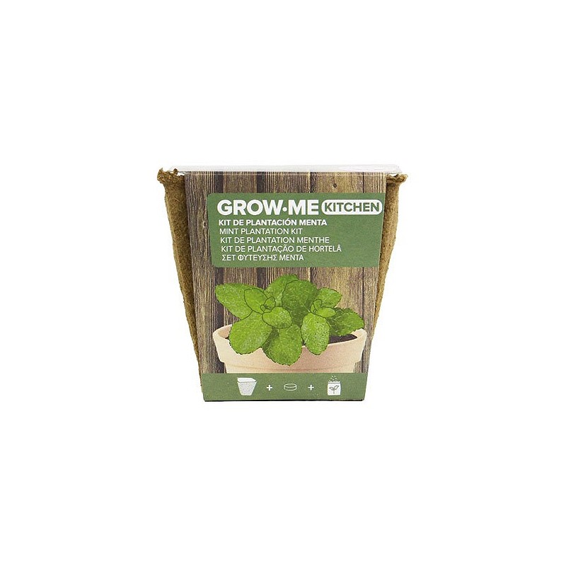 Compra SEMILLAS MENTA PEPERITA 0,1 GR THE GARDEN PEOPLE GROW ME MENTA al mejor precio