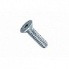 Compra Tornillo allen c/ avellanada din 7991 10.9 cincado 5 x 10 79915*1001 al mejor precio