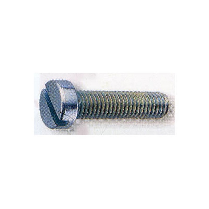 Compra Tornillo din 84 cabeza cilindrica cincado m-6 x 60 HISPANOX 966084 al mejor precio