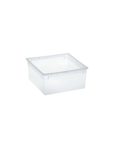 Compra Caja multiusos light box transparente 23 l TERRY 1001380 al mejor precio