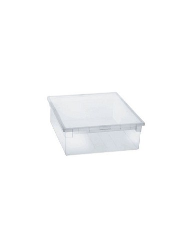 Compra Caja multiusos light box transparente 22 l TERRY 1002676 al mejor precio