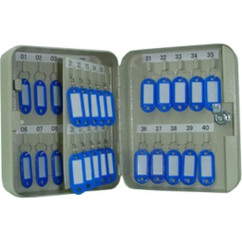 Compra ARMARIO PARA LLAVES 40 LLAVES GRIS METALICO KYLATE VH99768 al mejor precio