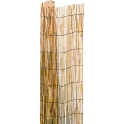 CAÑIZO BAMBU PELADO 02X5M...