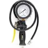 Compra PISTOLA INFLADORA-VERIF PRES 0-12 BAR NIVEL NIVEL NV117018 al mejor precio