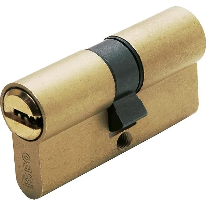 Compra CILINDRO R6 LEVA LARGA 40-40 LATON, 5 LLAVES ISEO 880940407..5 al mejor precio