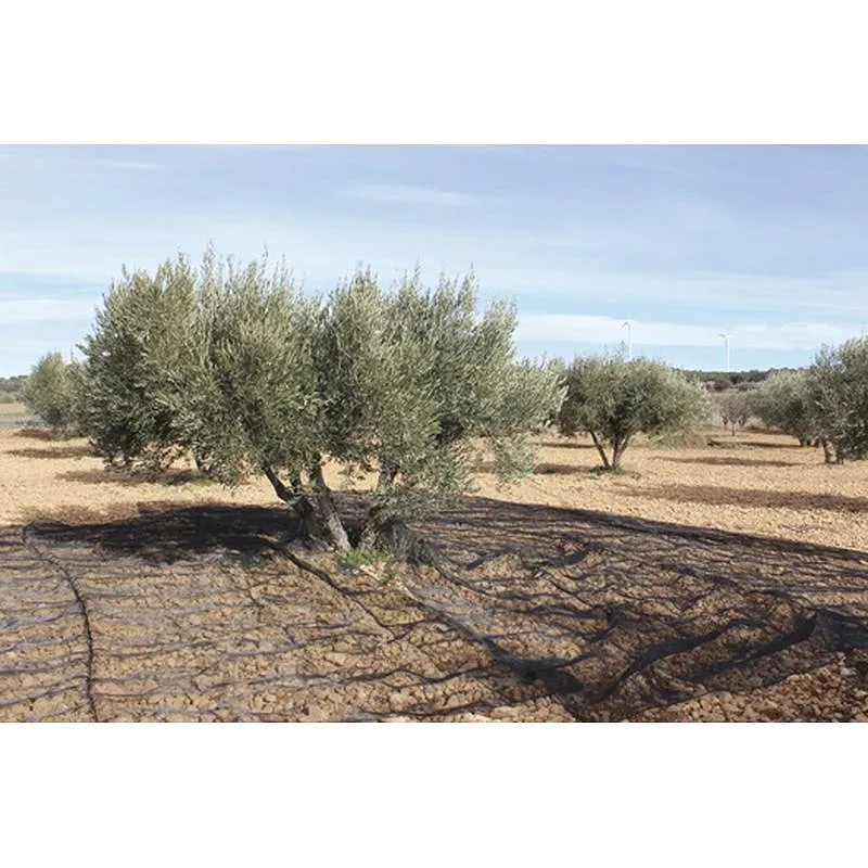 Compra MALLA PARA RECOLECTAR ACEITUNAS NEGRA 4X8 M NATUUR NT128213 al mejor precio