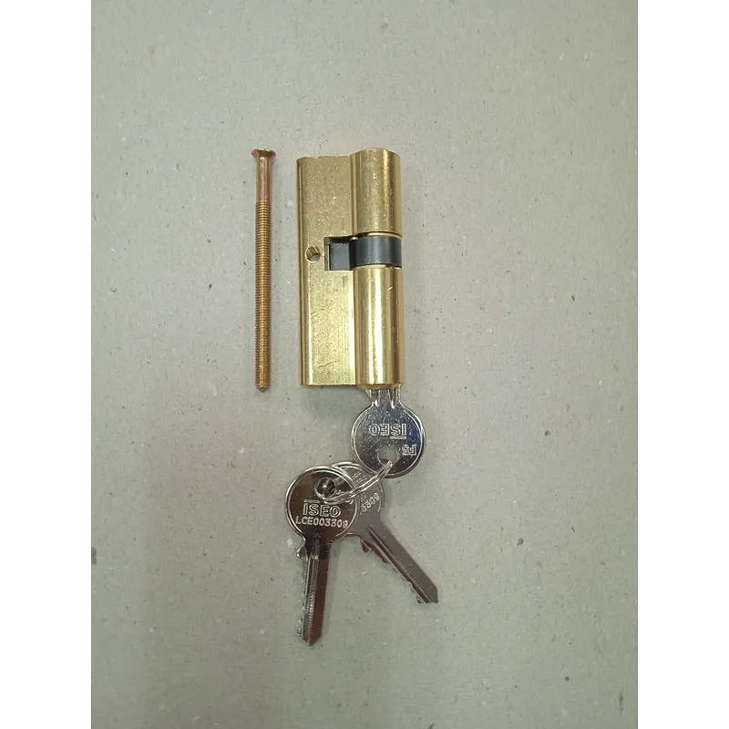 Compra CILINDRO F5 LEVA LARGA 30-40 LATON, 3 LLAVES ISEO 820830407 al mejor precio