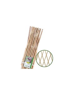 Celosia extensible bambu 90...