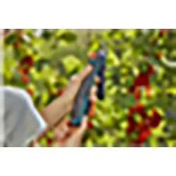 Compra TIJERA CORTE ASSISTCUT BATERIA 25 MM CORTE GARDENA 1222220 al mejor precio