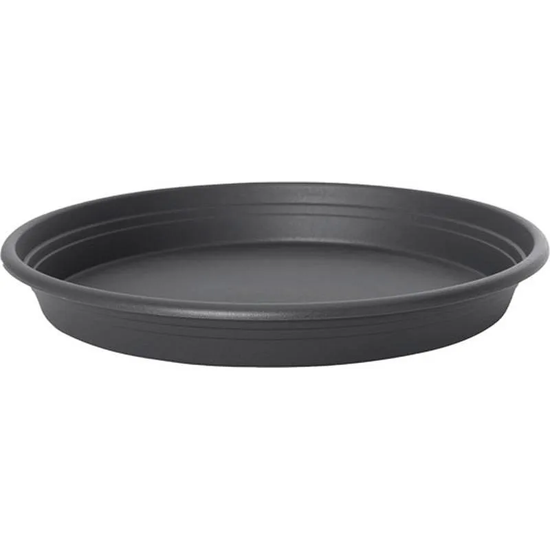 Compra PLATO UNIVERSAL diametro 25 CM ANTRACITA FLORUS 1004199 al mejor precio