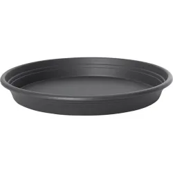 PLATO UNIVERSAL diametro 40...