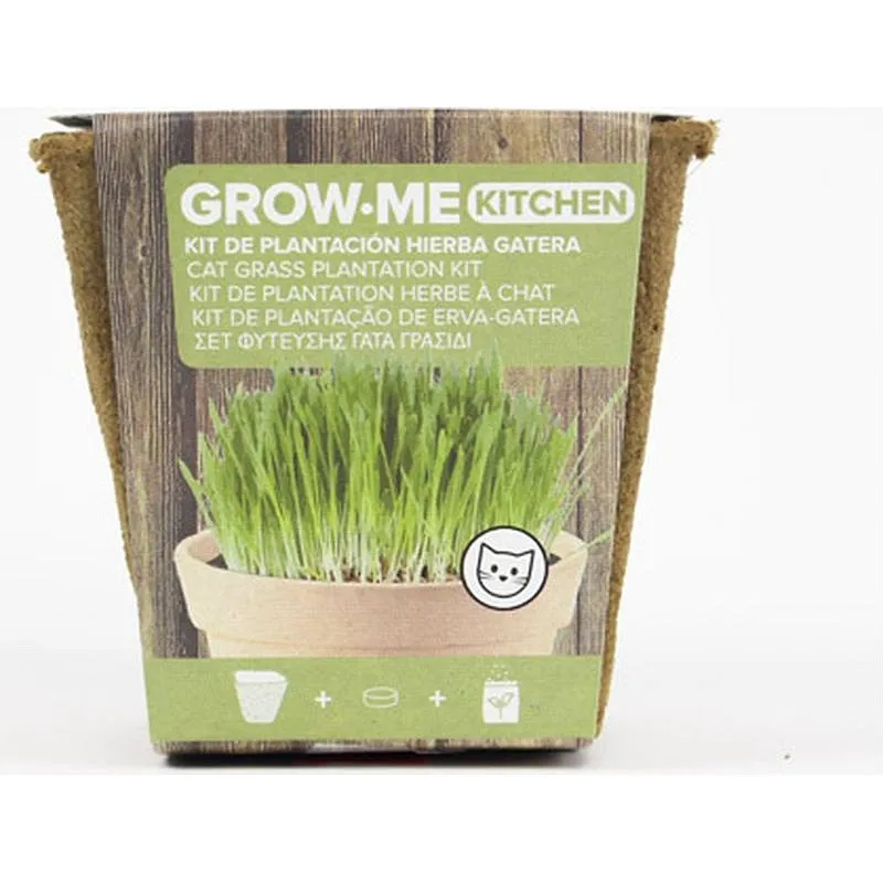 Compra SEMILLAS HIERBA GATOS 10 GR THE GARDEN PEOPLE GROW ME HIERBA GATOS al mejor precio