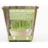 Compra SEMILLAS HIERBA GATOS 10 GR THE GARDEN PEOPLE GROW ME HIERBA GATOS al mejor precio
