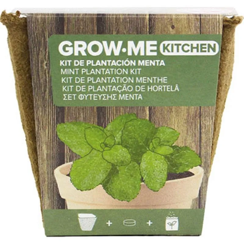 Compra SEMILLAS MENTA PEPERITA 0,1 GR THE GARDEN PEOPLE GROW ME MENTA al mejor precio