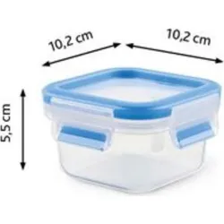 Compra CONTENEDOR HERMETICO CUADRADO 0,25 L EMSA 508535 al mejor precio