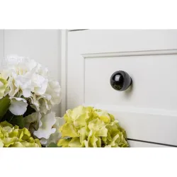 Compra POMO MUEBLE ABS 34X35MM REI 7-309.03 al mejor precio