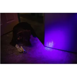 Compra LINTERNA LED 250LM TORCHY UV LUZ ULTRAVIOLETA 2 MODOS DE LUZ NEBO NEB-FLT-1061-G al mejor precio