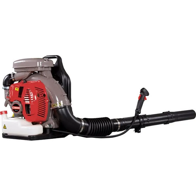 Compra SOPLADOR DE MOCHILA CAMPEON 3 KW 8578 al mejor precio