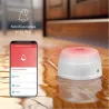 Compra DETECTOR INUNDACION SMART WIFI APP GARZA SMART COMPATIBLE TUYA GARZA 401346C al mejor precio