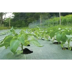 Compra MALLA ANTIHIERBA 100 GR 01X10M VERDE NATUUR 23004283 al mejor precio