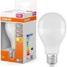 Compra BOMBILLA ESTANDAR LED E27 19W 2452LM 2700K IP20 OSRAM 745976 al mejor precio
