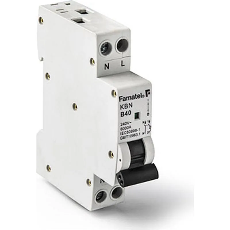 Compra MAGNETOTERMICO REDUCIDO 1 POLO+NEUTRO 10A FAMATEL 257000069 al mejor precio