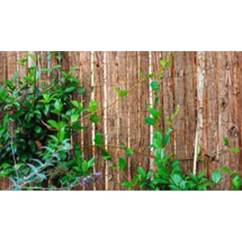 CORTEZA SIMPLE CARA 2 X 3 M NOVAGARDEN 230022