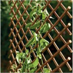 CELOSIA EXTENSIBLE MIMBRE 1...