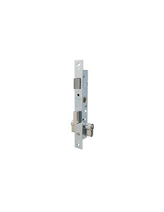 Compra Cerradura puerta metalica serie 2200 2200-13,5 mm cincada sin escudo ni cerradero TESA 220015HZ al mejor precio