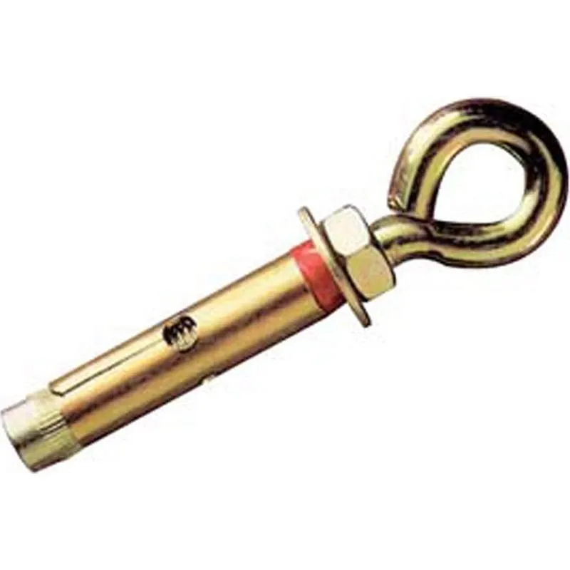 Compra ANCLAJE REFORZADO ARGOLLA M 8 X 60 MM diametro10 MM 100UDS ACHA10C al mejor precio