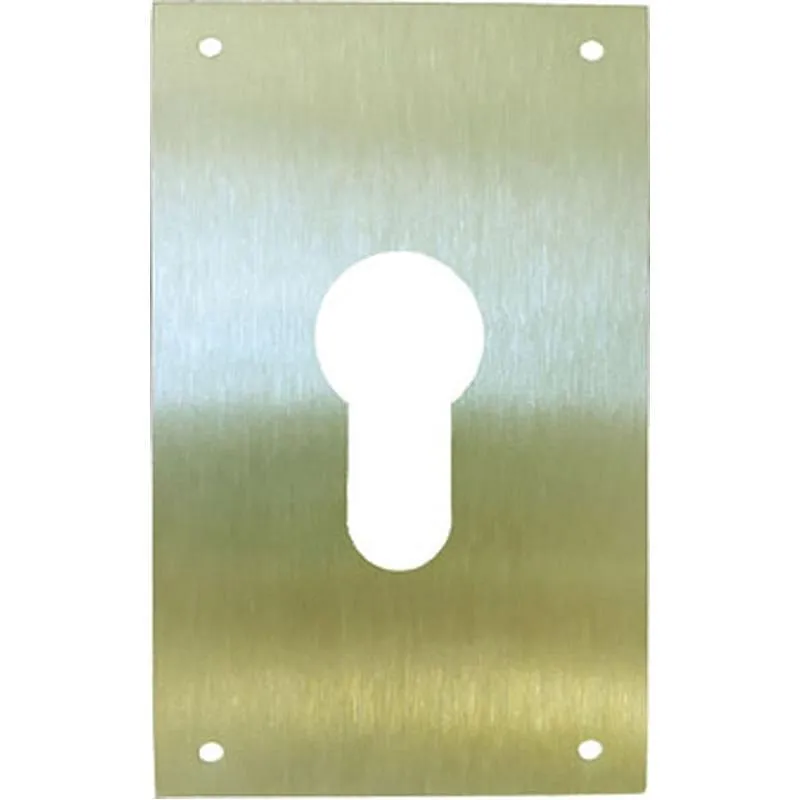 Compra PLACA CERRADURA BOCA PERA 60X80MM LATÓN MATE 51061 al mejor precio