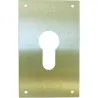 Compra PLACA CERRADURA BOCA PERA 60X80MM LATÓN MATE 51061 al mejor precio