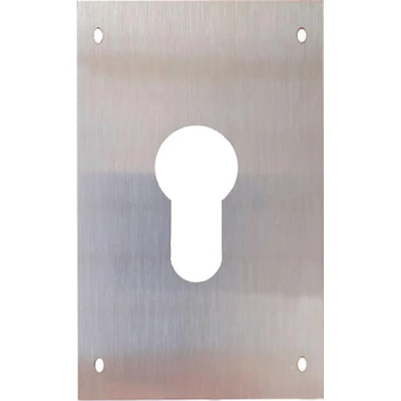 Compra PLACA CERRADURA BOCA PERA 60X80MM INOX SATINADA 51062 al mejor precio