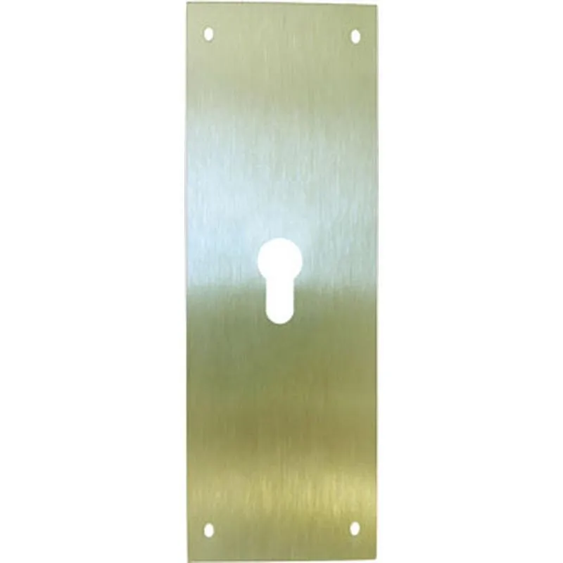 Compra PLACA CERRADURA BOCA PERA 90X250MM LATÓN MATE 51611 al mejor precio