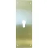 Compra PLACA CERRADURA BOCA PERA 90X250MM LATÓN MATE 51611 al mejor precio