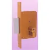 Compra CERRADURA EMBUTIR MADERA LLAVE SOLA 4200-HL/98X50 EZCURRA 1105250 al mejor precio