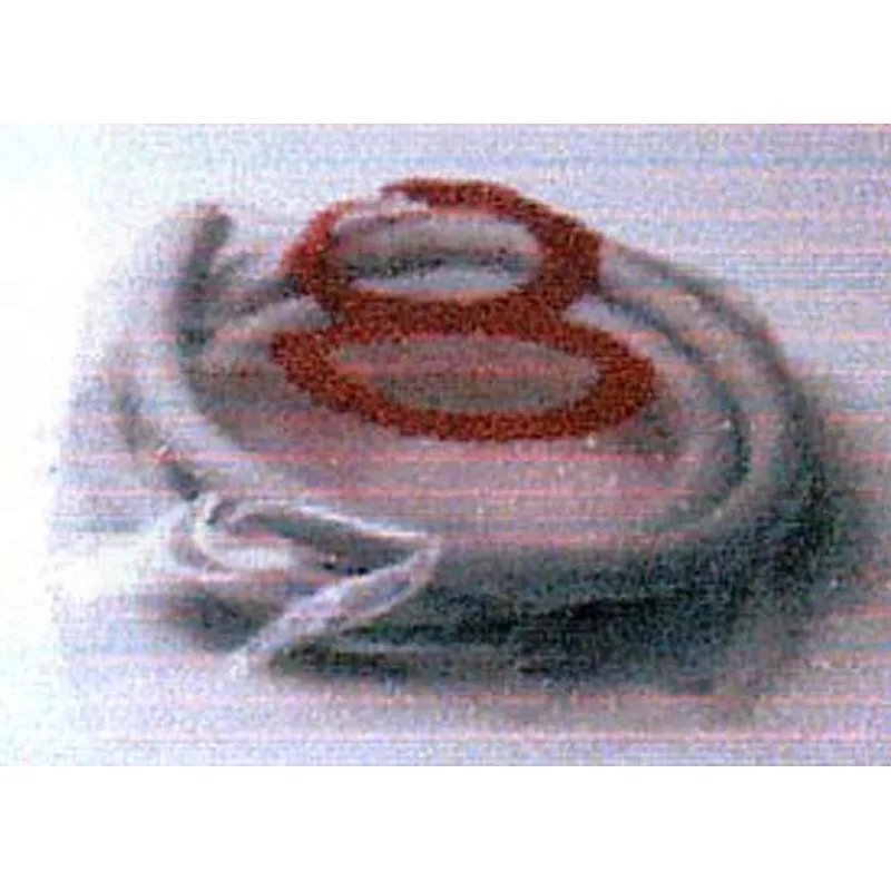 Compra GOMA OLLA MAGEFESA 015-6-8-10L AINSA 015 al mejor precio