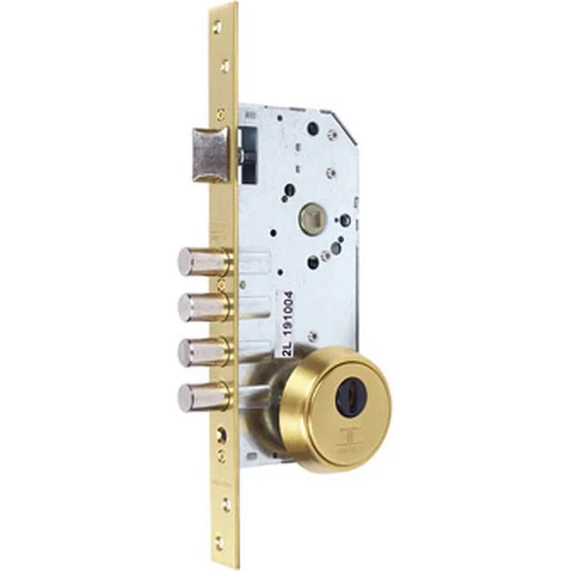 Compra CERRADURA SEGURIDAD R200B ENTRADA 50MM ESCUDO E700 30-40 LATON PULIDO TESA R200B567L al mejor precio