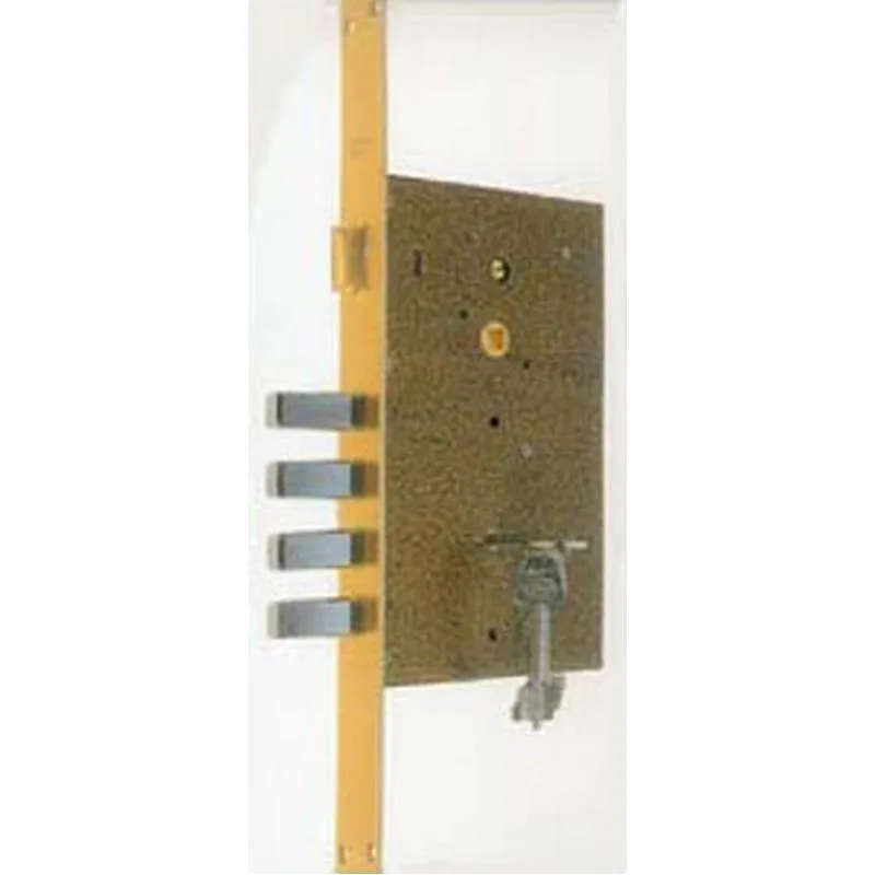 Compra CERRADURA SEGURIDAD BORJA LATON GOLPE Y LLAVE 807B/50 EZCURRA 1032016 al mejor precio