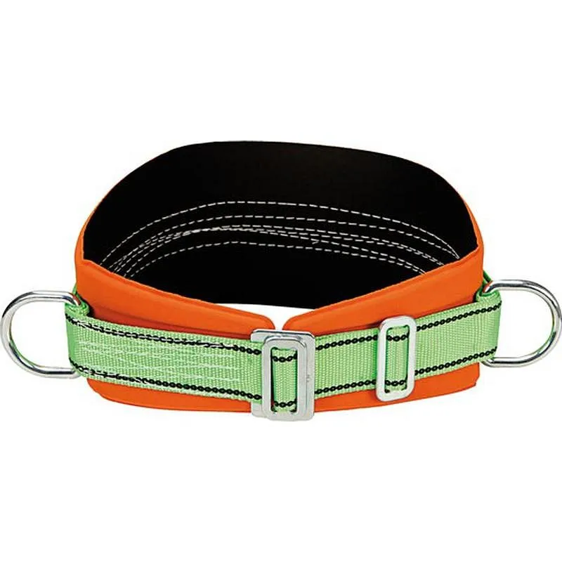 Compra CINTURON SEGURIDAD 25-C CLIMAX 2651025200 al mejor precio