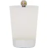 BOTE BAÑO VIDRIO BASE LATON CROMADO IMPORT BG0167