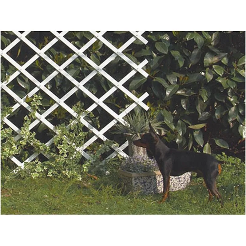 Compra CELOSÍA EXTENSIBLE PLÁSTICO TRELLIFLEX 1 X 2 M. BLANCA NORTENE 170102/170106 al mejor precio