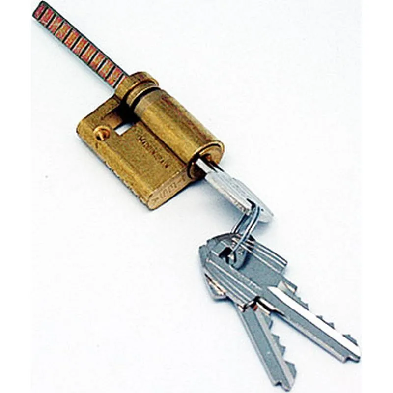 Compra CILINDRO TE5 LEGÜETA REGULABLE 30-10 LATON, 3 LLAVES TESA TE5R3010L al mejor precio